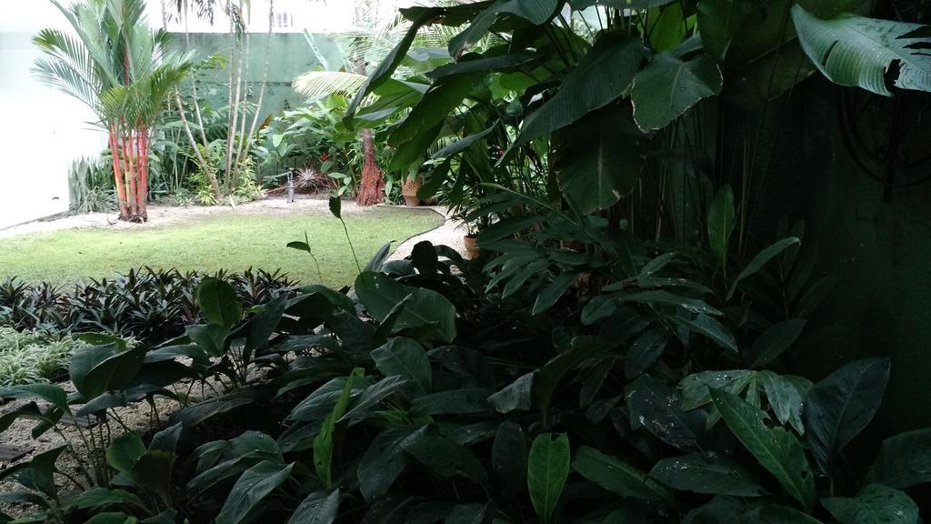 Ecopousada Miriti เบเลม ภายนอก รูปภาพ